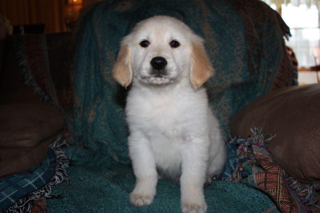 SolderSmoke Podcast #129