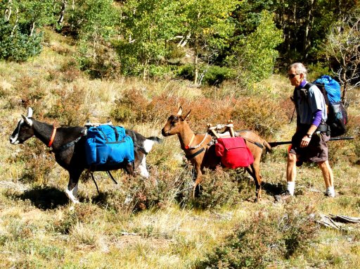 SolderSmoke Podcast #135 FDIM SPECIAL!