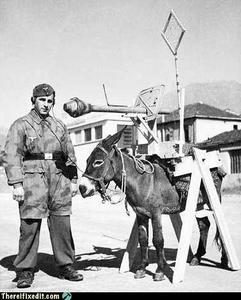 Kludge:  Rube-Goldberg Heath-Robinson Ad-Hockery