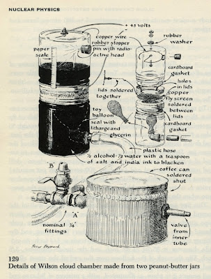 Renaissance Man Illustrator for Scientific American