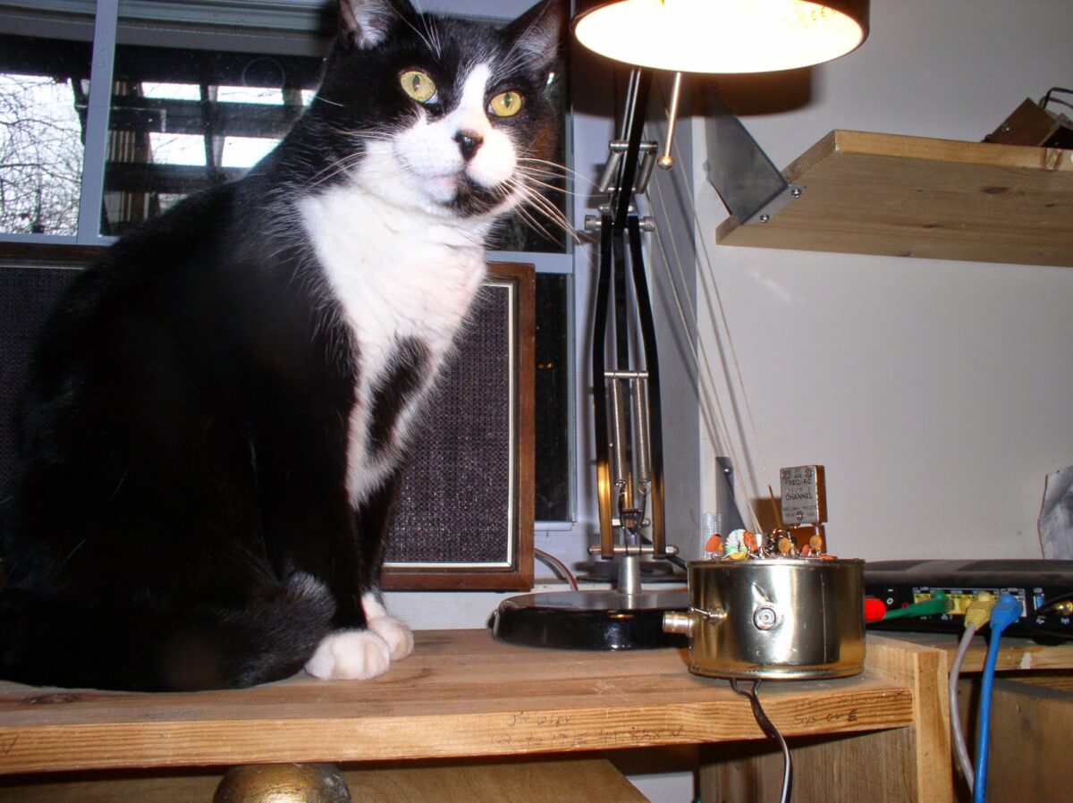 FDIM Midnight Mojo Ceremony (Tuna Tin 2)