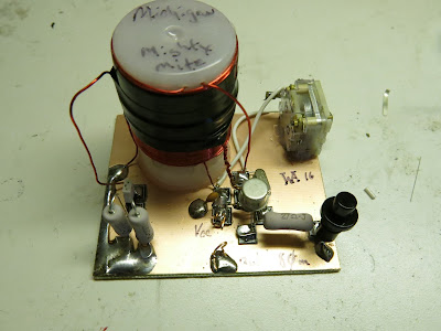 CBLA Dallas Division: Multiple Mighty Mites in the Lonestar State