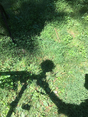 Pre-eclipse Solar Observation