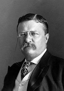 Teddy Roosevelt on Homebrewing:  “The Ham in the Arena”