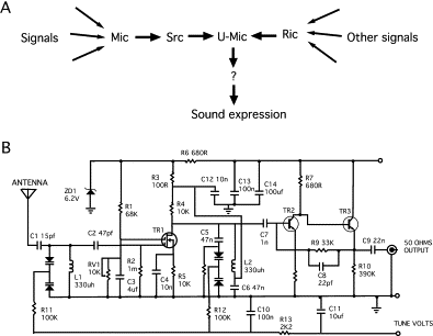 Can a Biologist Fix a Radio?
