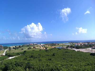 My Hanmilt HK 22 Drone — Video and a still picture